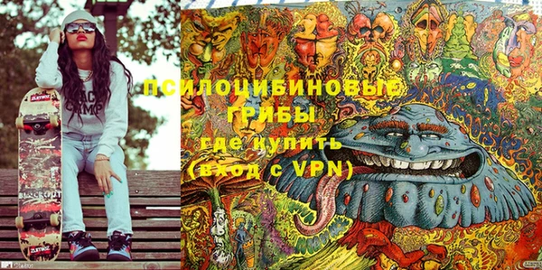 mdma Заводоуковск