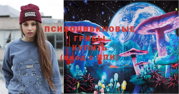 mdma Заводоуковск