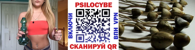 Псилоцибиновые грибы Cubensis  Купить  Лысково 